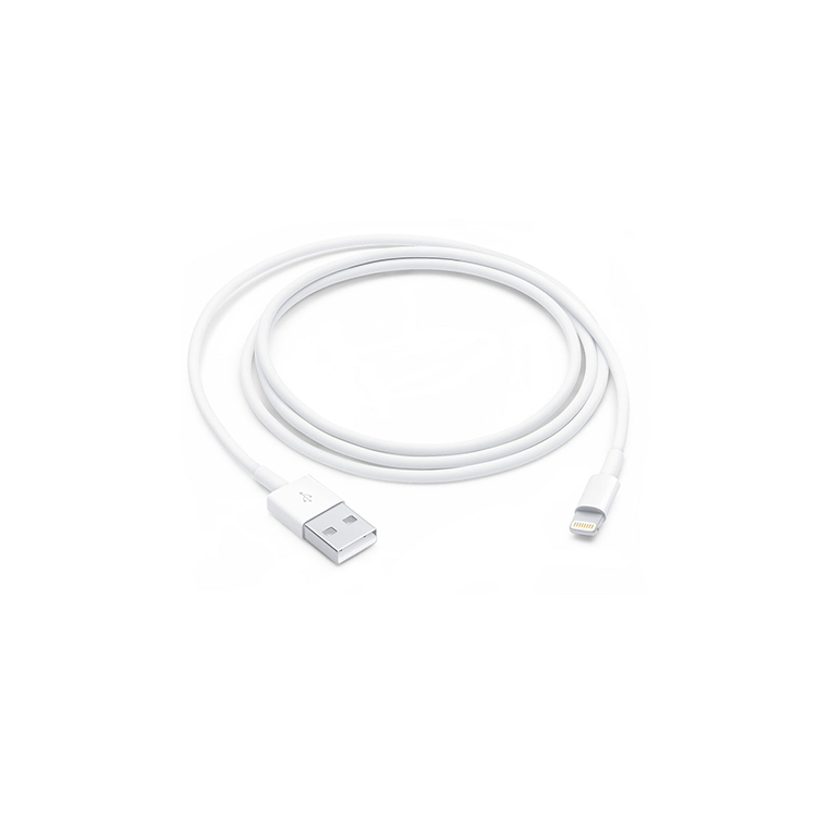 Apple Lightning to USB Cable