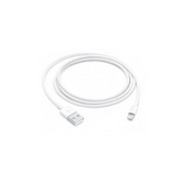 Apple Lightning to USB Cable