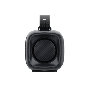 Radyon Air Premium Wireless Speaker