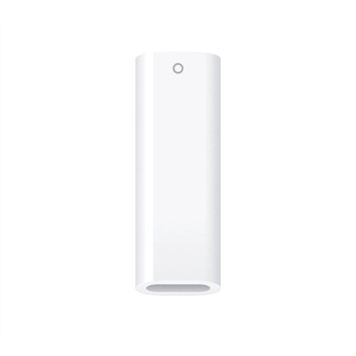 USB-C to Apple Pencil Adapter